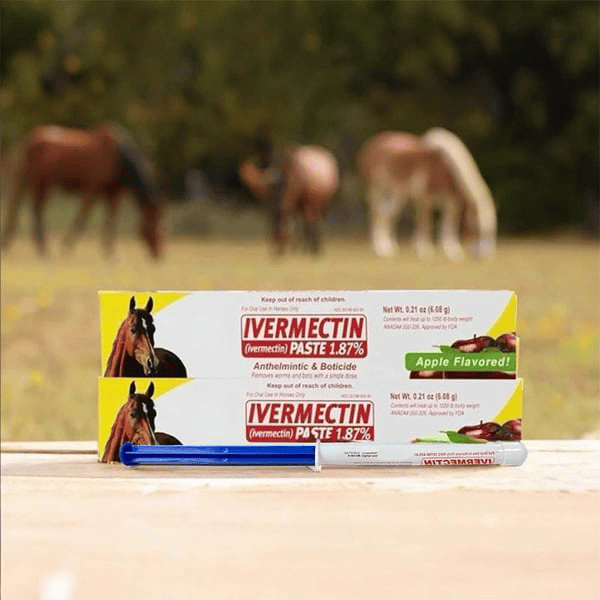 🔥Last Day 49% OFF - Ivermectin Horse Paste 1.87% 6.08g Tubes