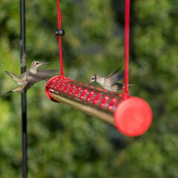🔥Early Spring Promotion 50% OFF-Hummingbird Feeder with perch