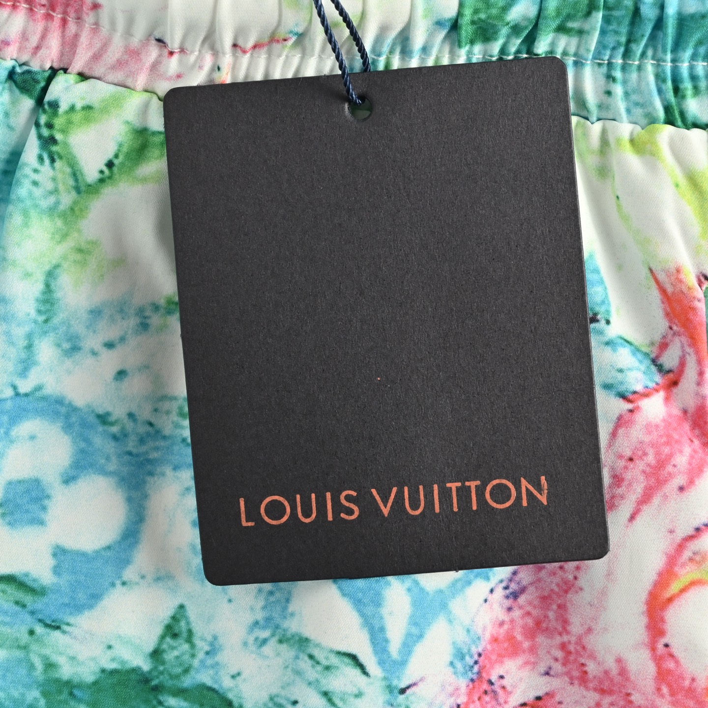 Louis Vuitton Crayon Nylon Beach Shorts