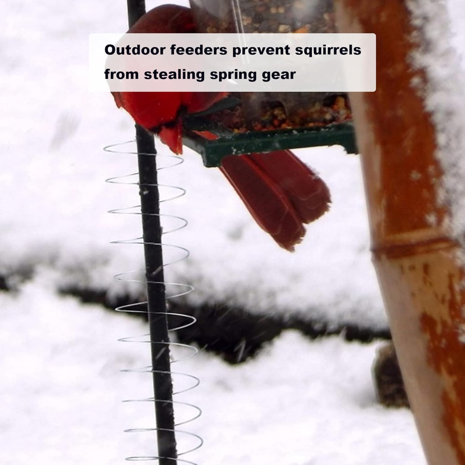 ✨2024 NEW✨Squirrel-Proof Bird Feeder Accessory that Guards Bird Seed