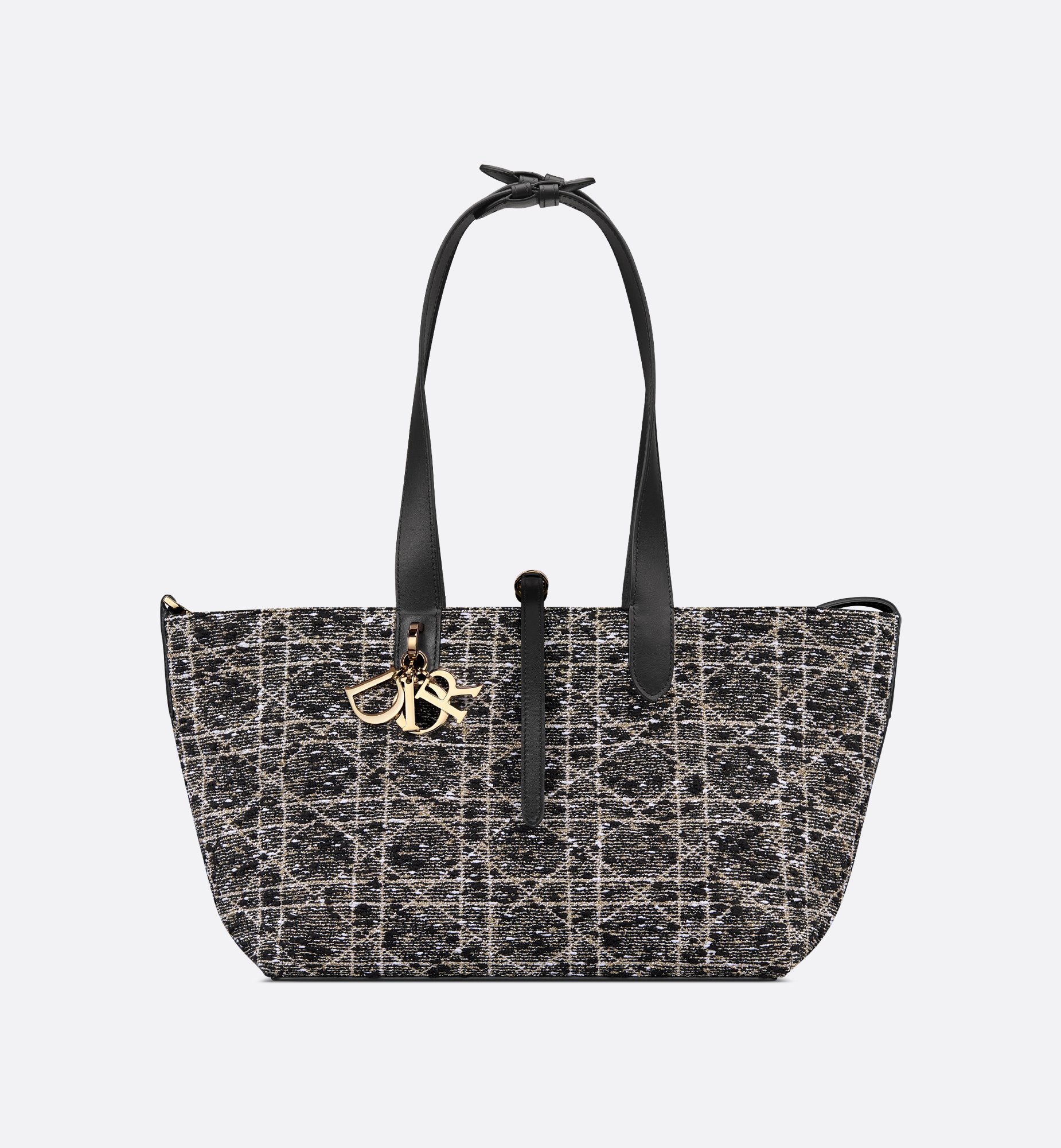 Dior Medium Dior Toujours Bag M2821ODIO_M197
