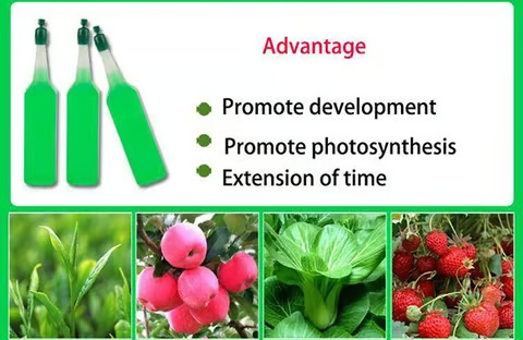 🌱 (HOT SALE-ONLY $9.99)🍀Magic Hydroponic liquid fertilizer