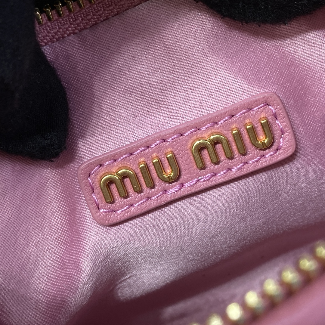 Miu Miu Wander Small Bag 5BC125