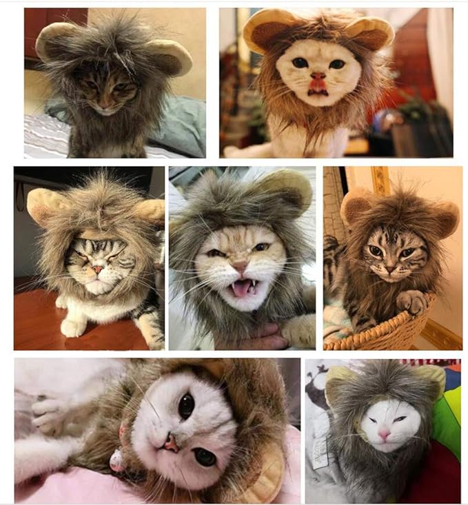 2024  King Cat Costume🔥(Last Day to Sell)