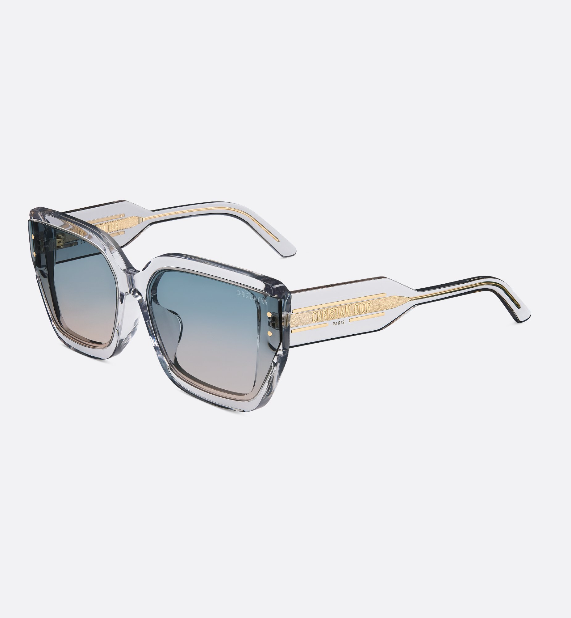 Dior DiorSignature S14F Sunglasses SGTS14FXR_45C2