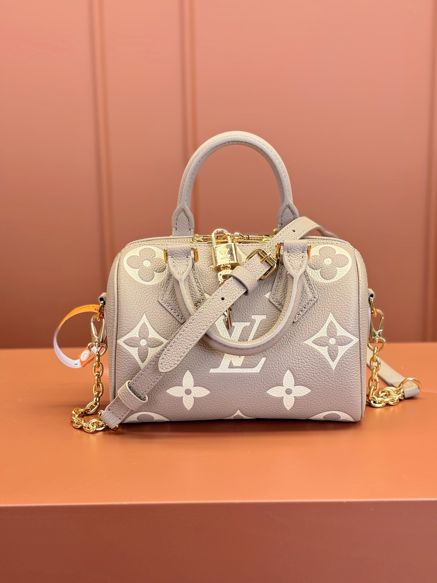 Louis Vuitton SPEEDY BANDOULIÈRE 20 Handbag M46575