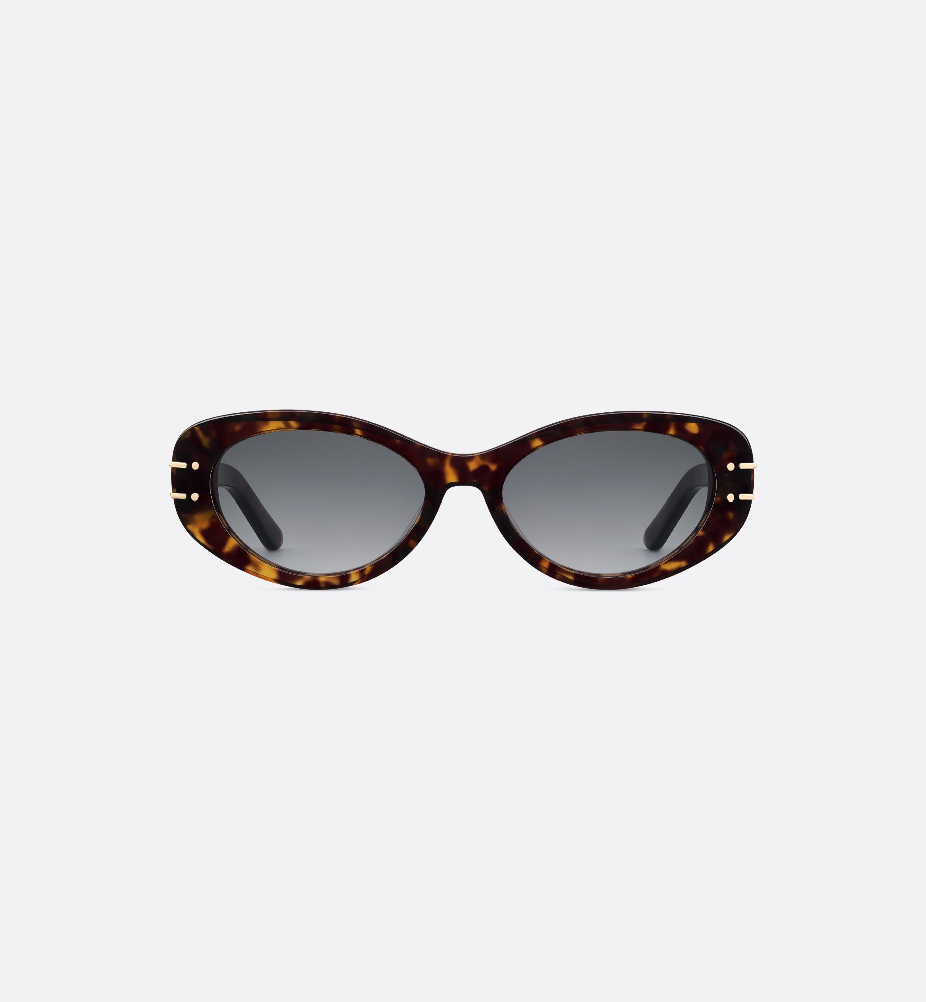 Dior DiorSignature B8U Sunglasses DSGTB8UXR_24A1