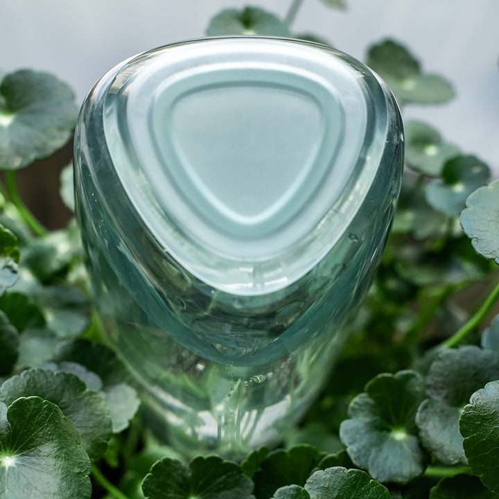 💖Last Day 50% OFF💖Self-Watering Plant Care Kit