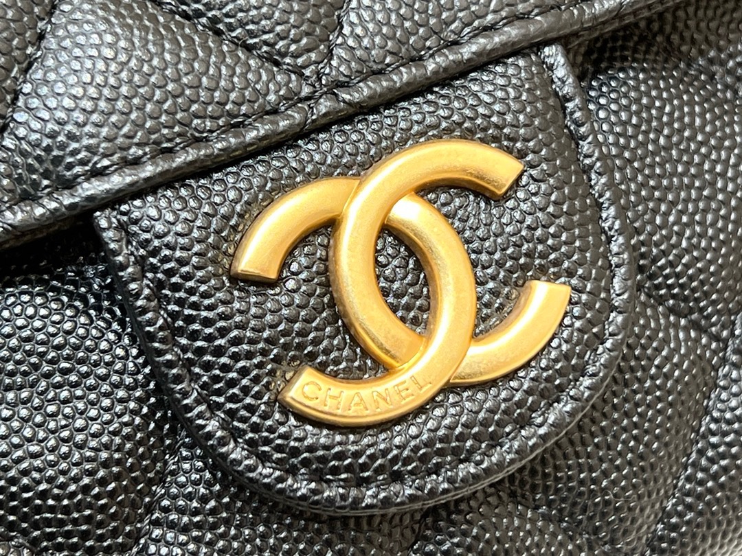 Chanel 23P Spring/Summer Series No. 5 Gold Coin Hobo Hippie Bag 3710