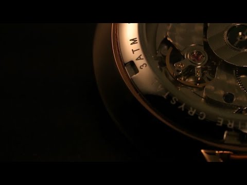 FM202 Men's Wristwatch