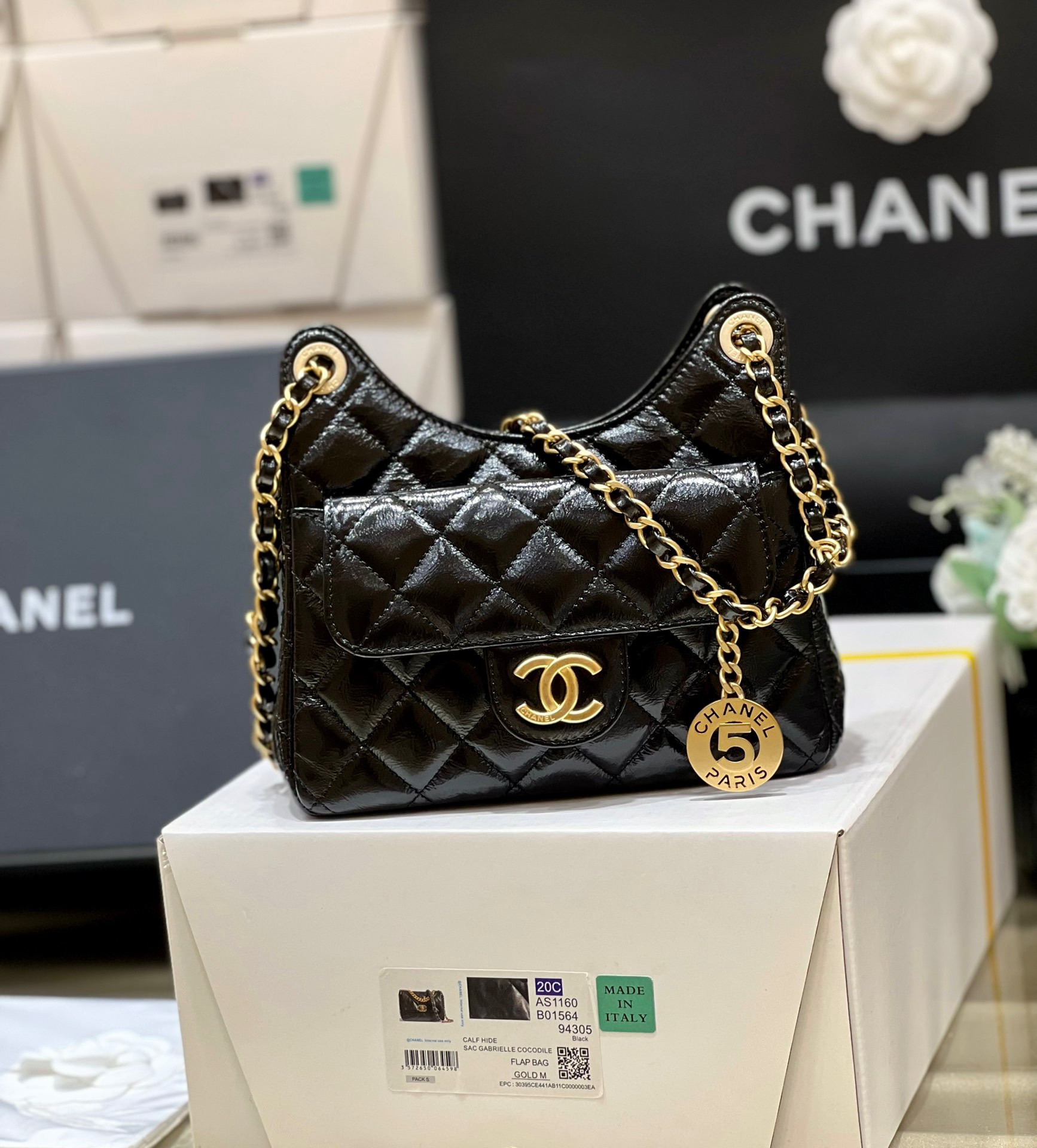 Chanel 23P Spring/Summer Series No. 5 Gold Coin Hobo Hippie Bag 3710