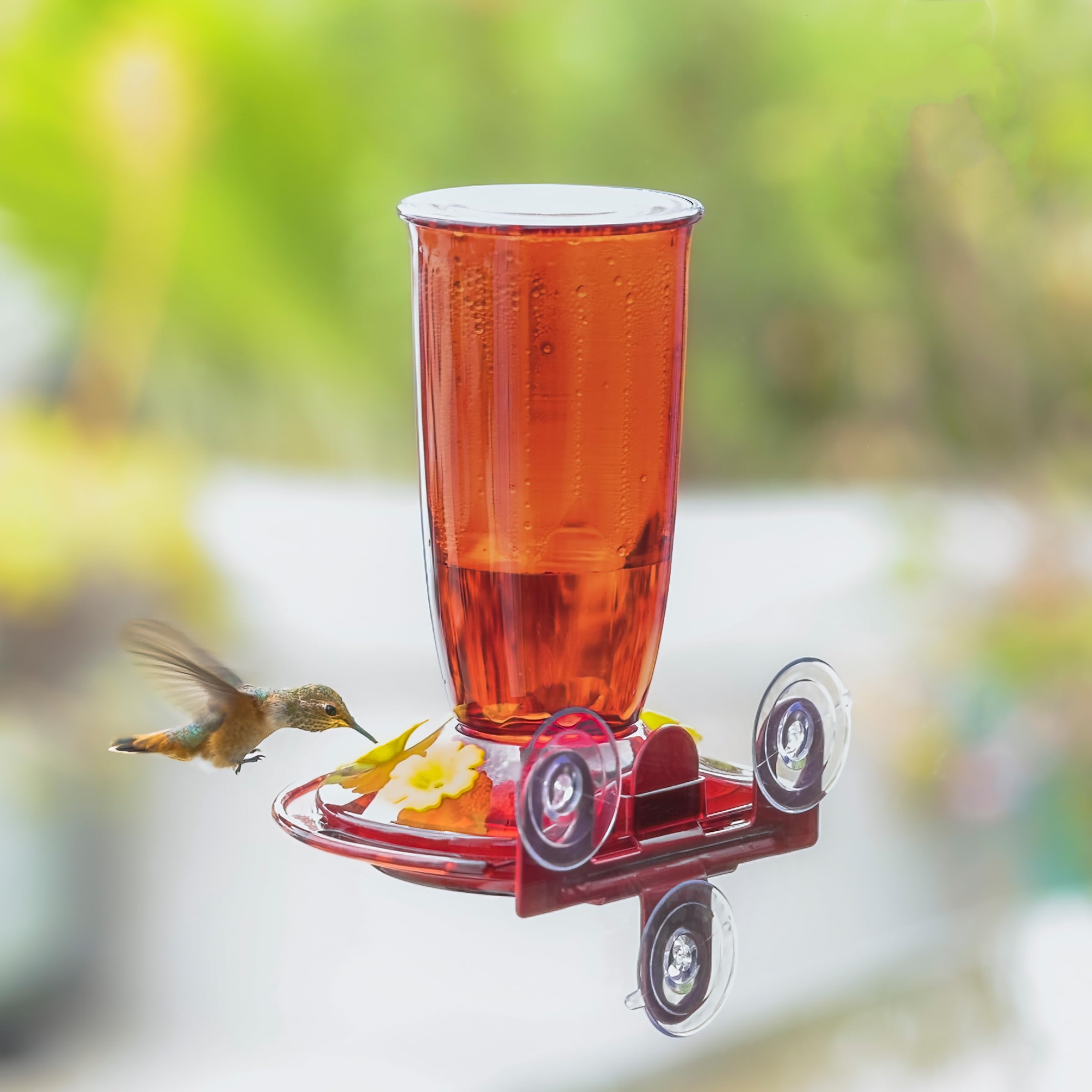 🔥On Sale🔥Window & Wall Mounted Hummingbird Feeder 🐦🌸 16 Oz Leak Proof & 4 Bee Proof Feeding Ports