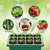 Adjustable Humidity Seed Starter Trays with Grow Light