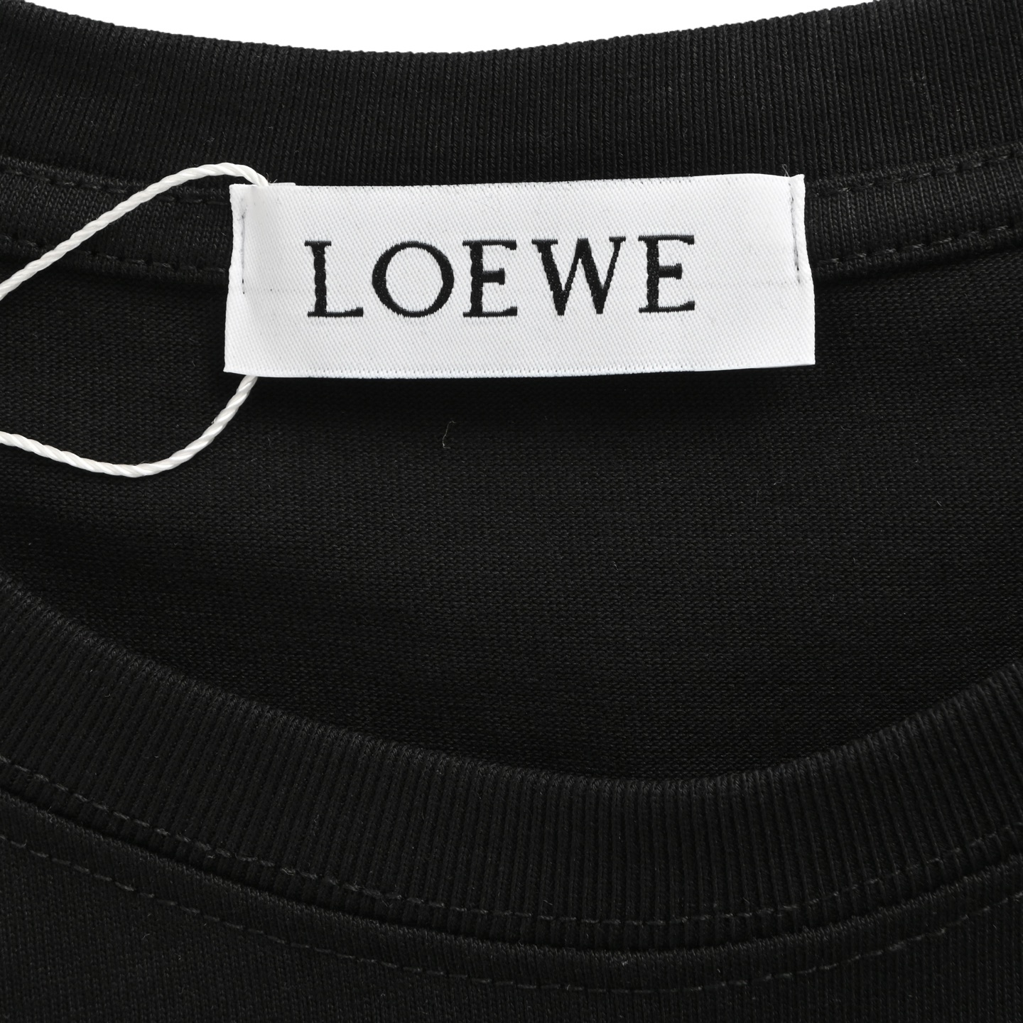 Loewe 25ss embroidered coconut tree short sleeves