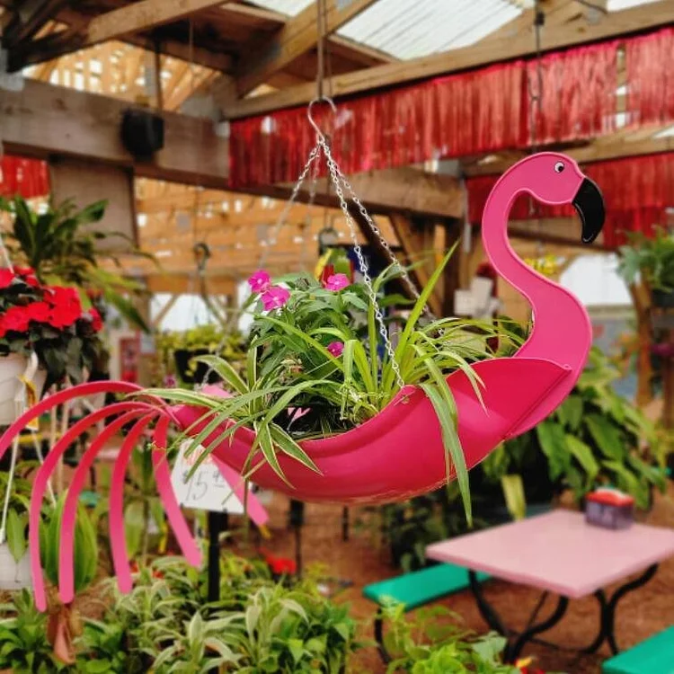 Colorful Bird Hanging Planter