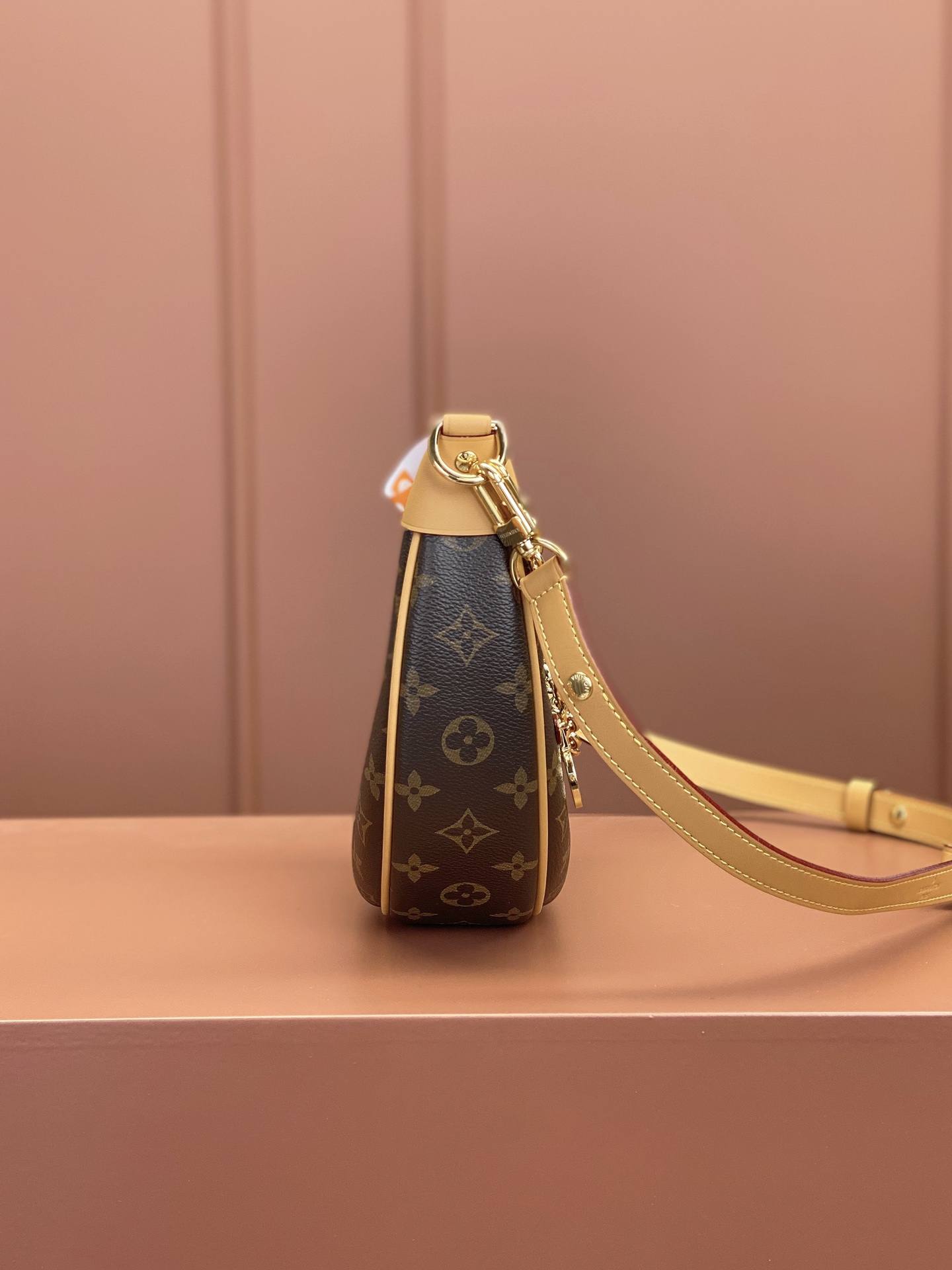 Louis Vuitton LOOP Handbag M81098