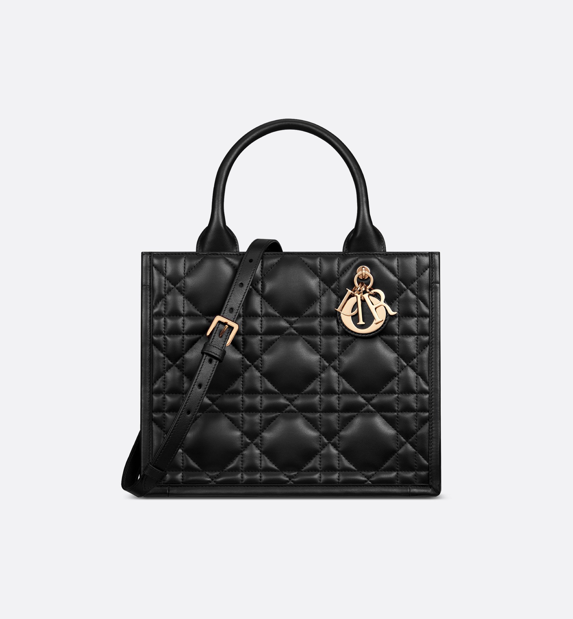 Dior Small Book Tote M1325OWHP_M900
