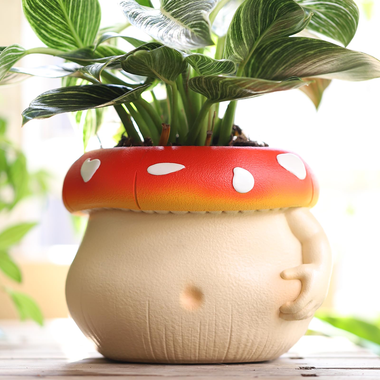 ❤️Mother's Day Sale 60% OFF❤️Cute Funny Handmade Coffee Mushroom Planter📦Free Shipping For a Limited Time