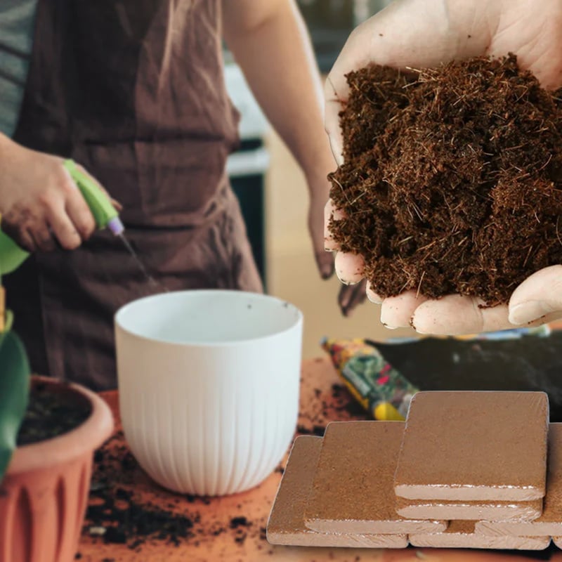 🔥Hot Sale Promotion 49% OFF - Organic Coconut Coir for Plants