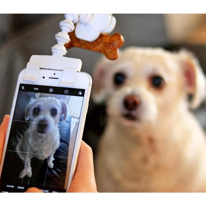 🔥Last Day Promotion - 50% OFF🔥Lovely pet selfie stick