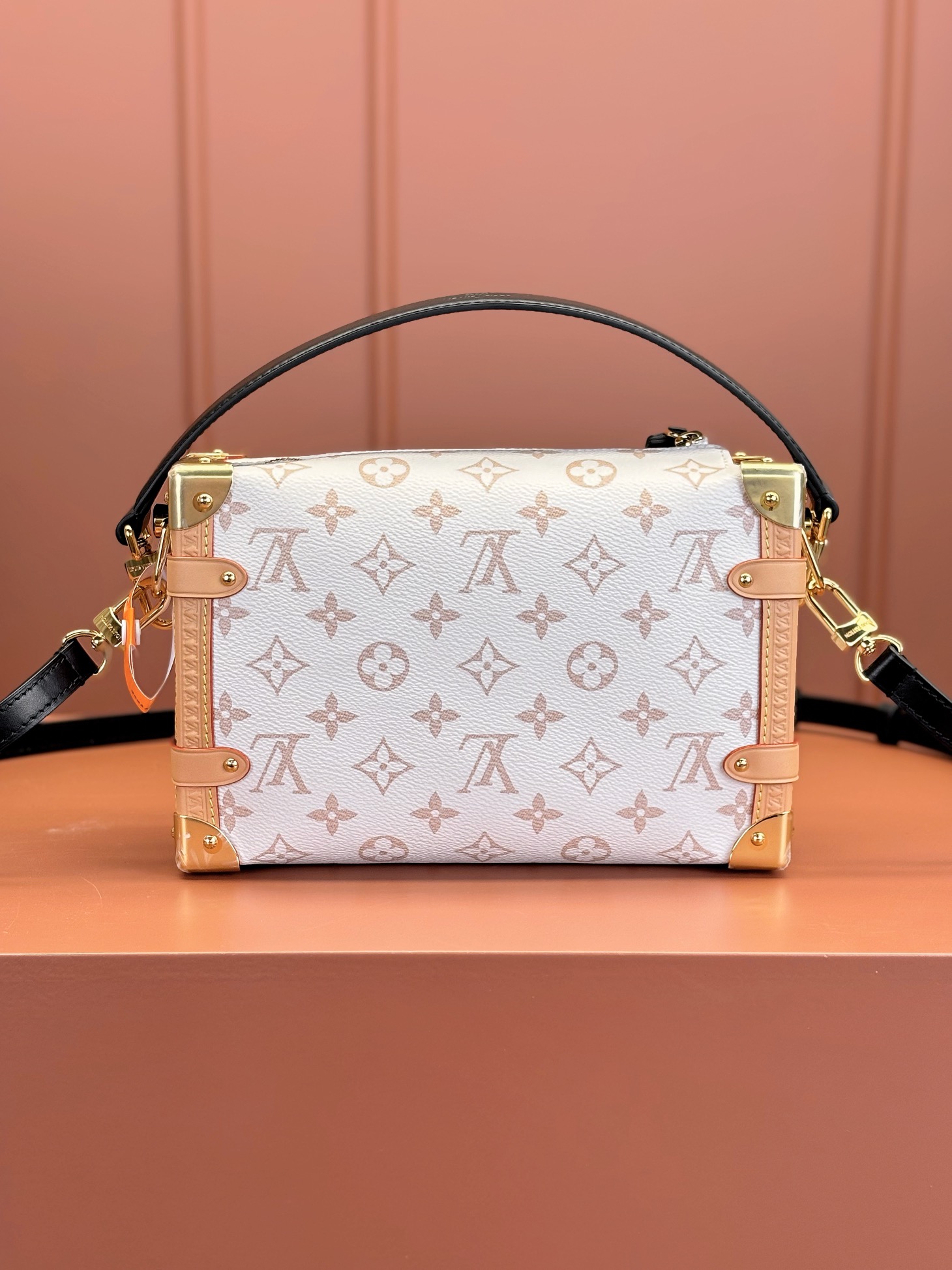 Louis Vuitton SIDE TRUNK Bag M46907