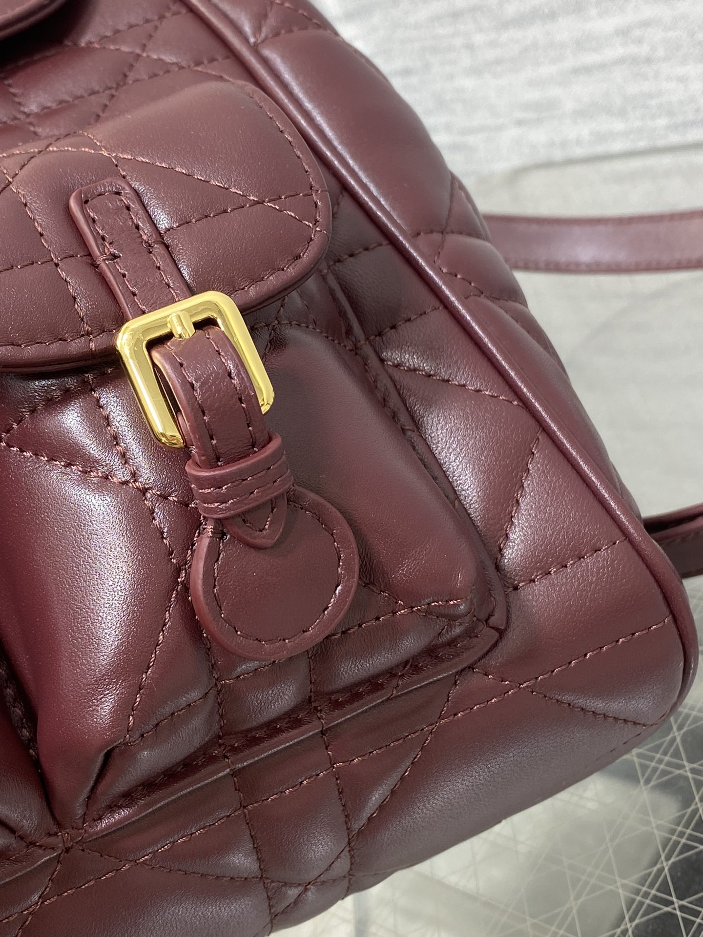Dior Caro Fall/Winter Backpack