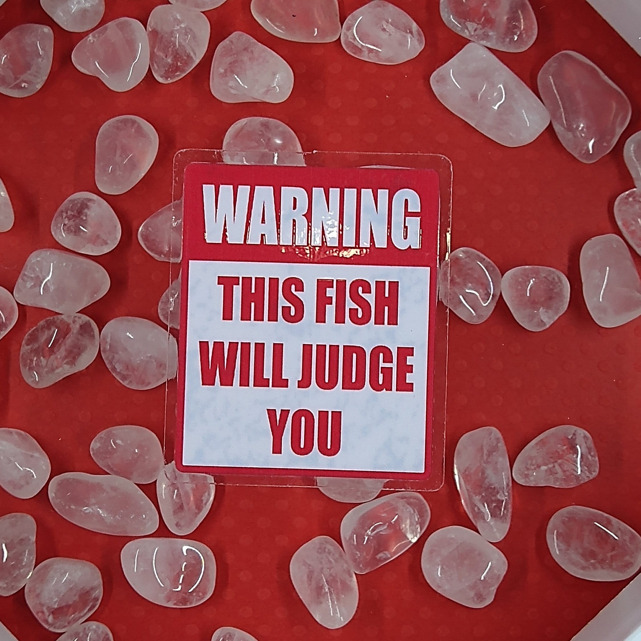 Funny Aquarium Caution Sign | Aquarium Decor Sticker