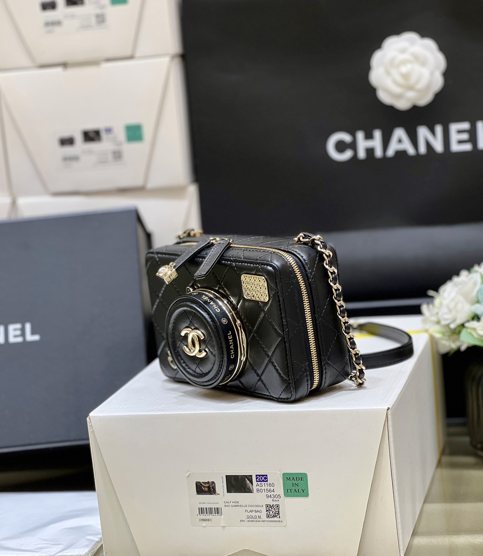 Chanel 24S Spring/Summer Series Camera bag vic limited edition AS4817 00168