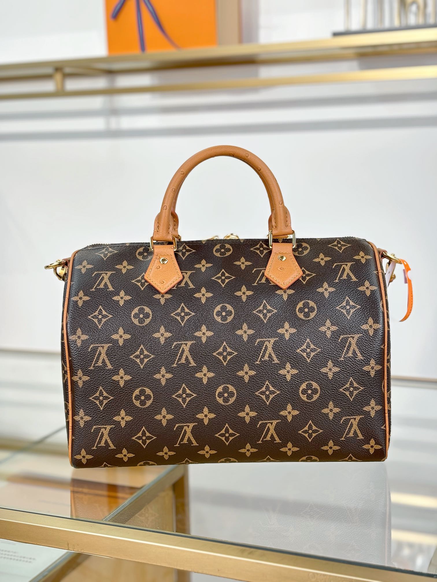 Louis Vuitton SPEEDY SOFT 30 BOHO Bag N87212