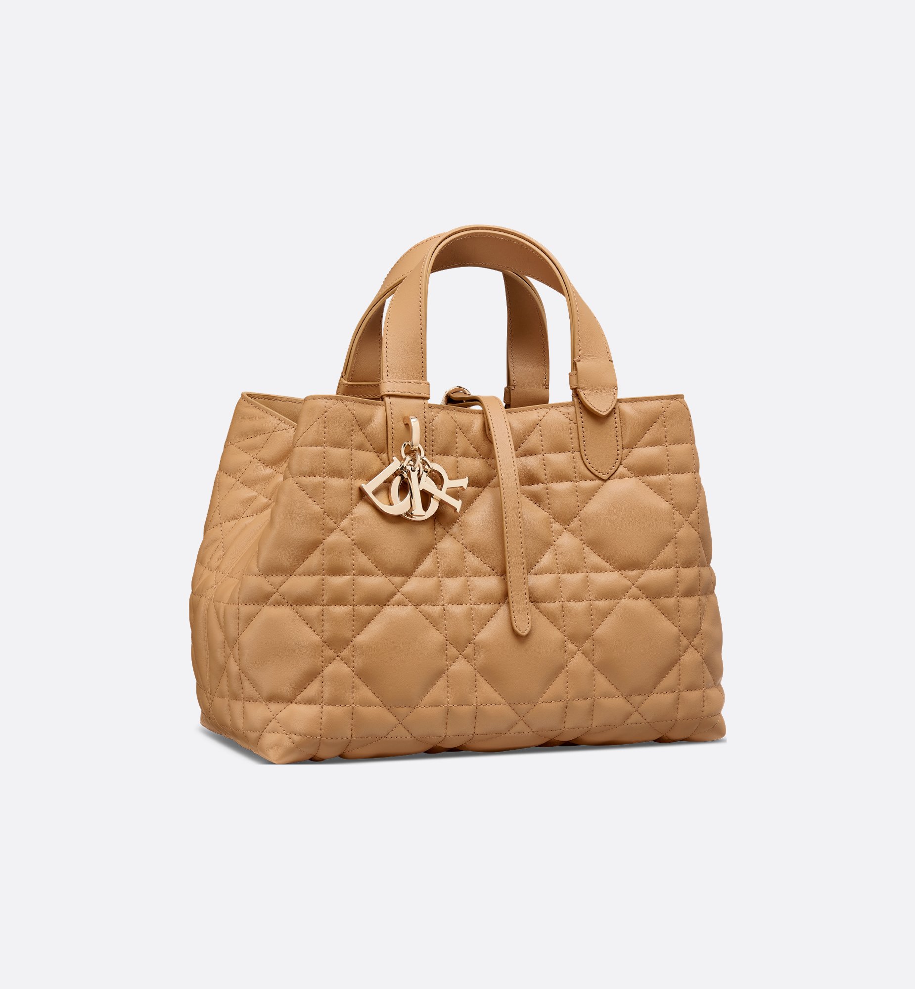 Dior Medium Dior Toujours Bag M2821OSNW_M34U