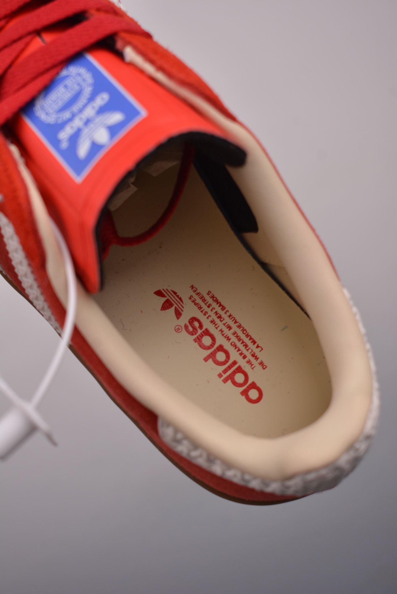 Adidas Gazelle Indoor Trainers Red and White IF1808