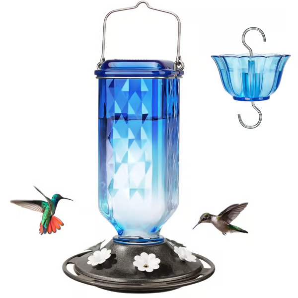 🔥HOT SALE 50% OFF🔥New Hanging Outdoor Glass Hummingbird Feeder With Perch And Built-in Ant Moat🐦