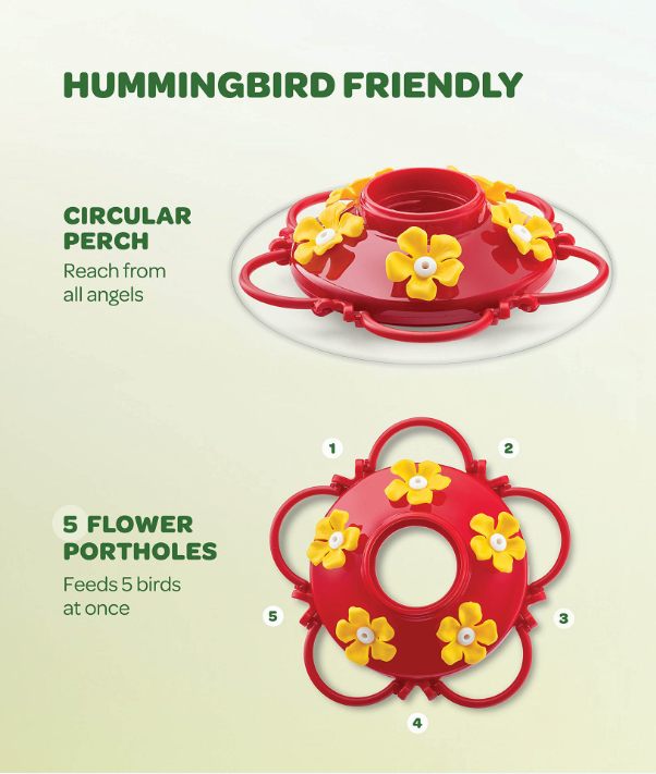 💥Hanging Outdoor Hummingbird Feeder🐦 50% OFF🎁