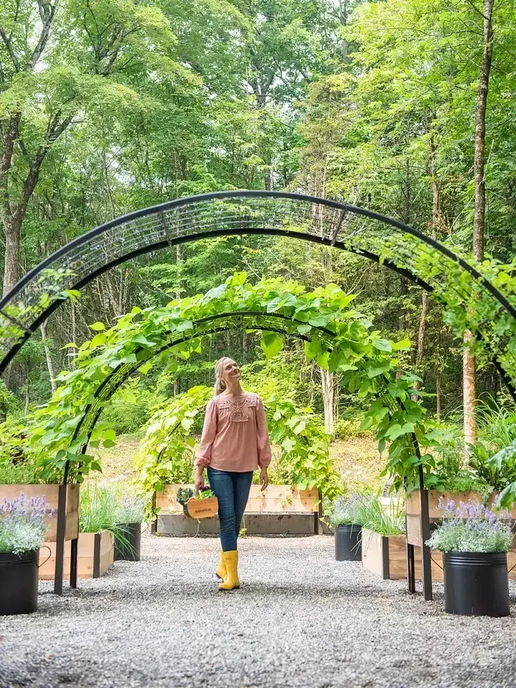 🌷2025B Clearance Sale 🔥8' X 2' x 4' Self-Watering Eco-Stained Elevated Planter Box+ Arch Trellis