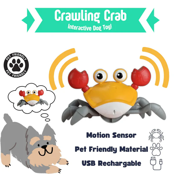 (💥Last Day Promotions-50% OFF)--Crawling Crab Sensory Toy--BUY 2 GET 10% OFF & FREE SHIPPING