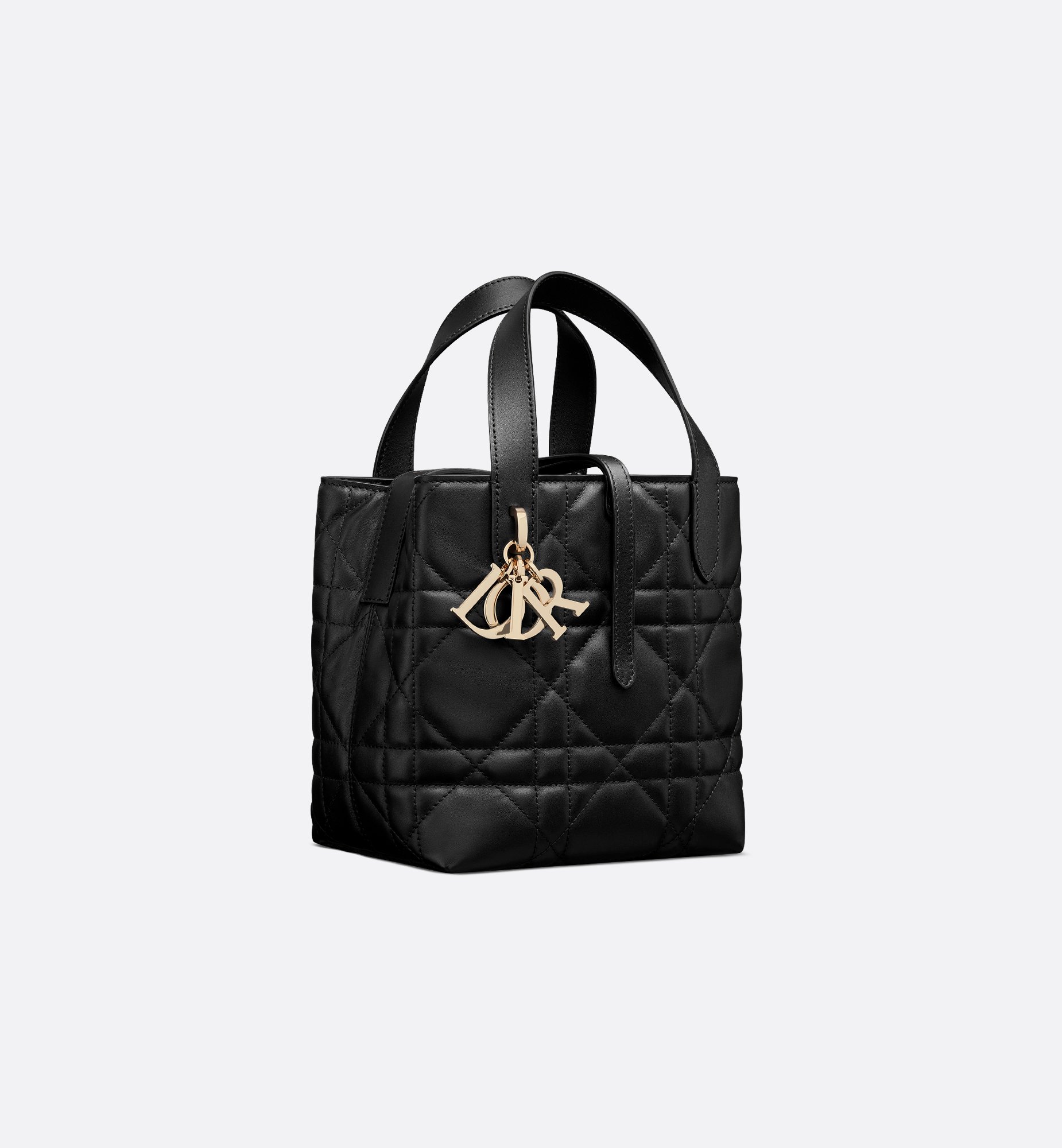 Dior Small Dior Toujours Vertical Bag M2835OSNW_M900