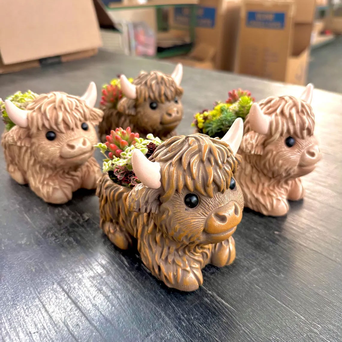 Mini Highland Cow Succulent Pot