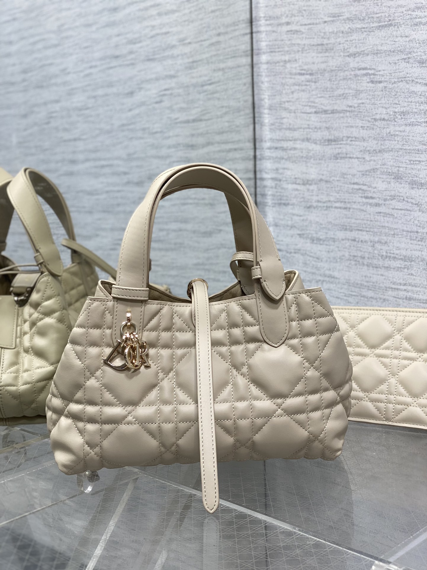 Dior Toujours Small Bag