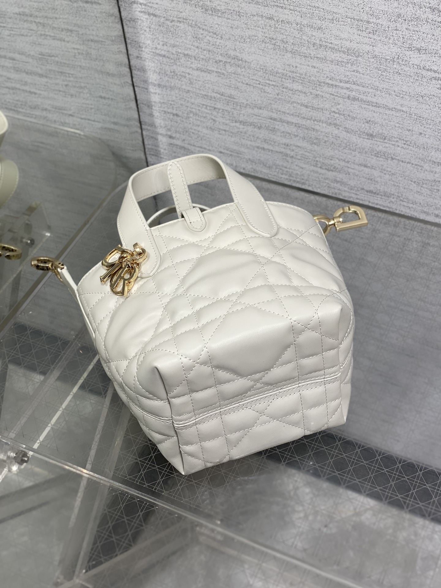 Dior Toujours vertical series mini