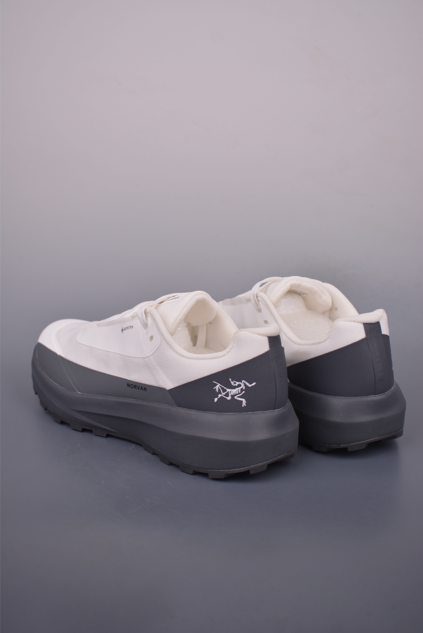 Arc'teryx NORVAN LD 4 running shoes 