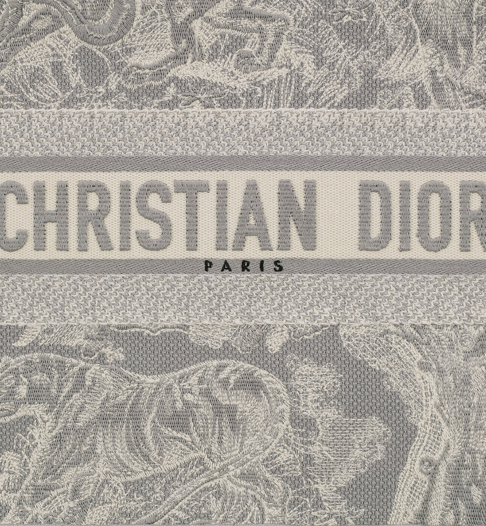 Dior Medium Book Tote Bag M1296ZRGO_M20I