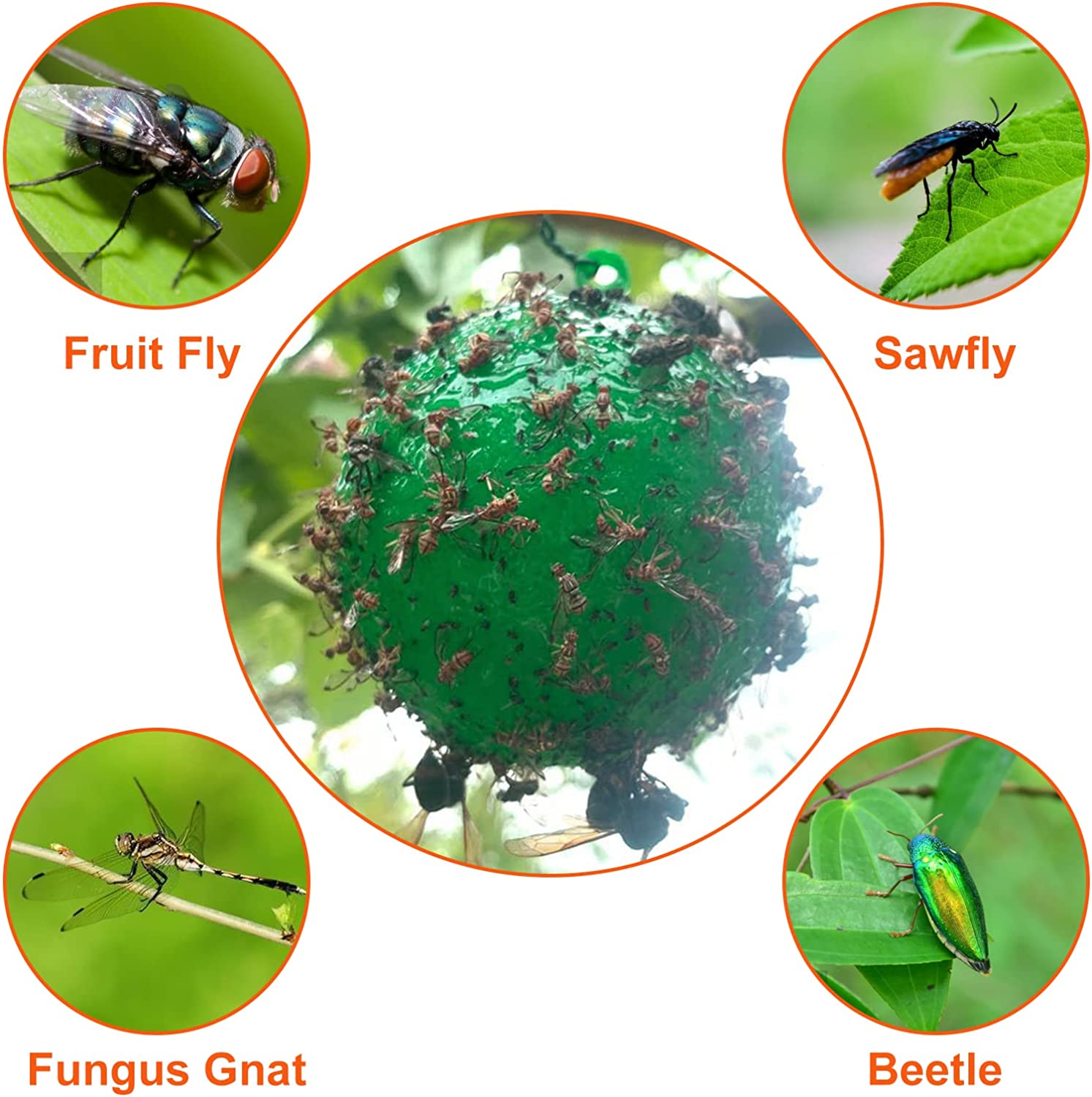 🔥Last Day Promotion - 50% OFF🔥Hanging Environmental Fruit Fly Traps Sticky Traps-BUY 5 GET 3 FREE