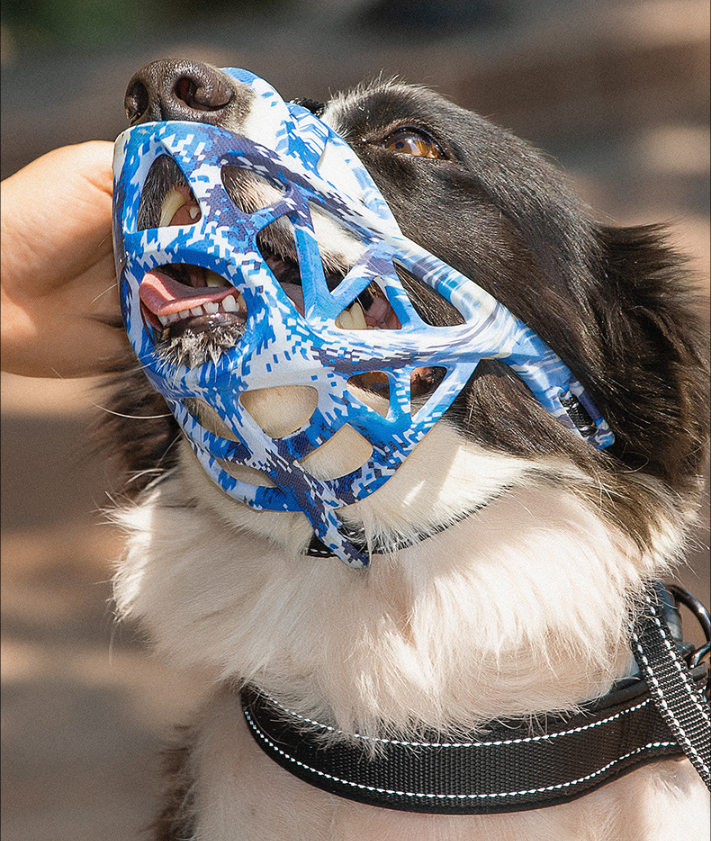 dog safety muzzle