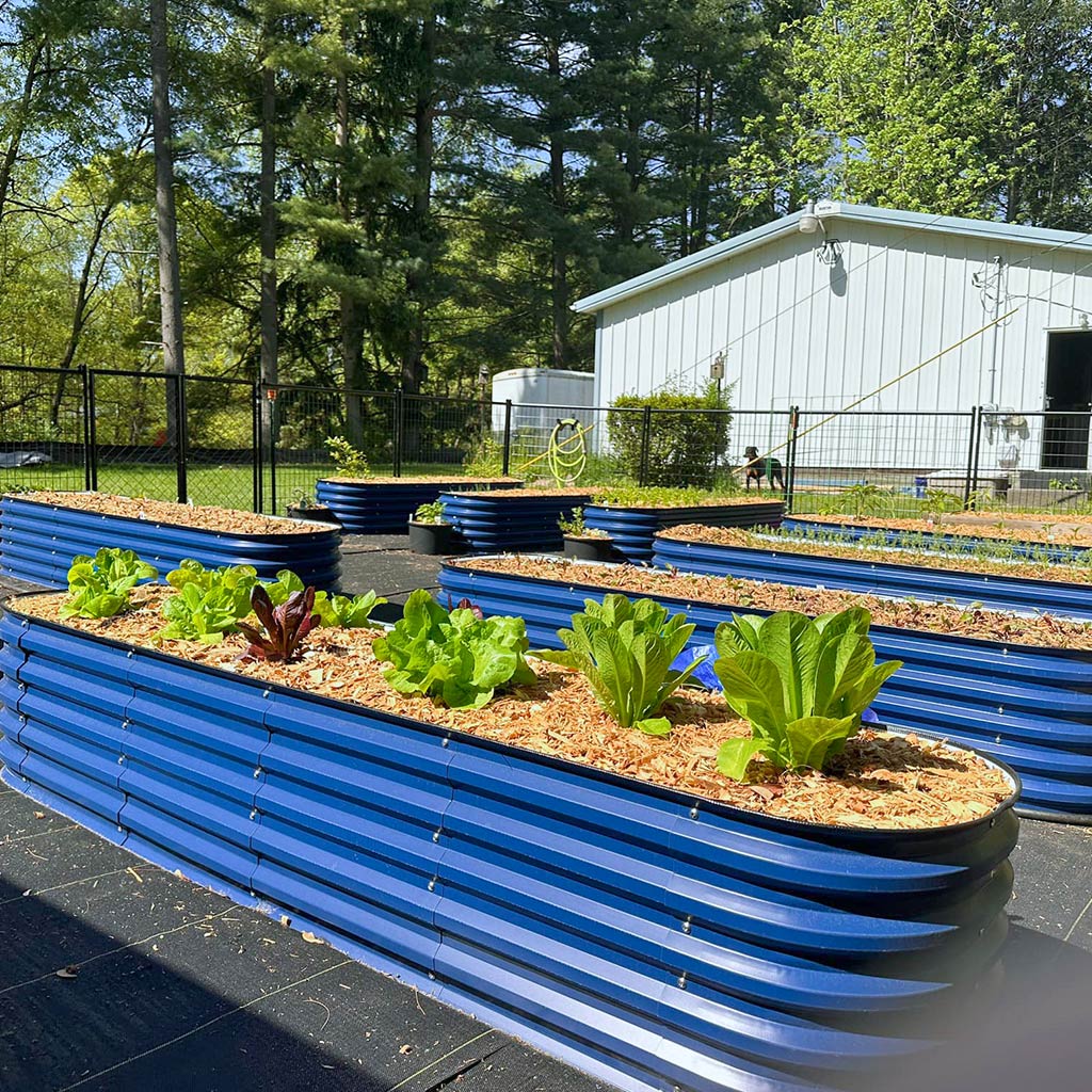 🌷2025D Spring Clearance Sale 🔥A8x2 Metal Raised Garden Beds (9 in 1)【Upgrade 2.0】