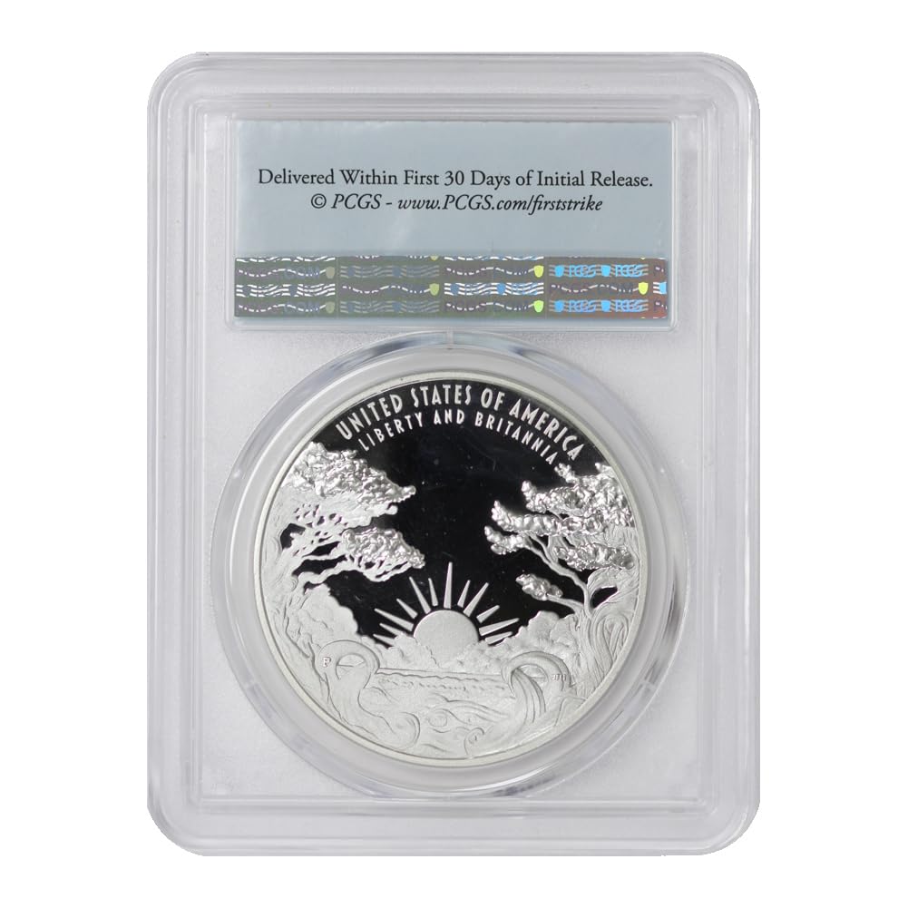Liberty & Britannia 2024 Silver Medal