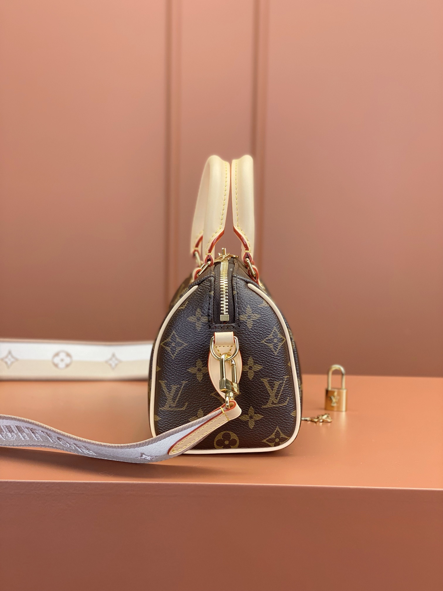 Louis Vuitton SPEEDY BANDOULIÈRE 20 Handbag M46222