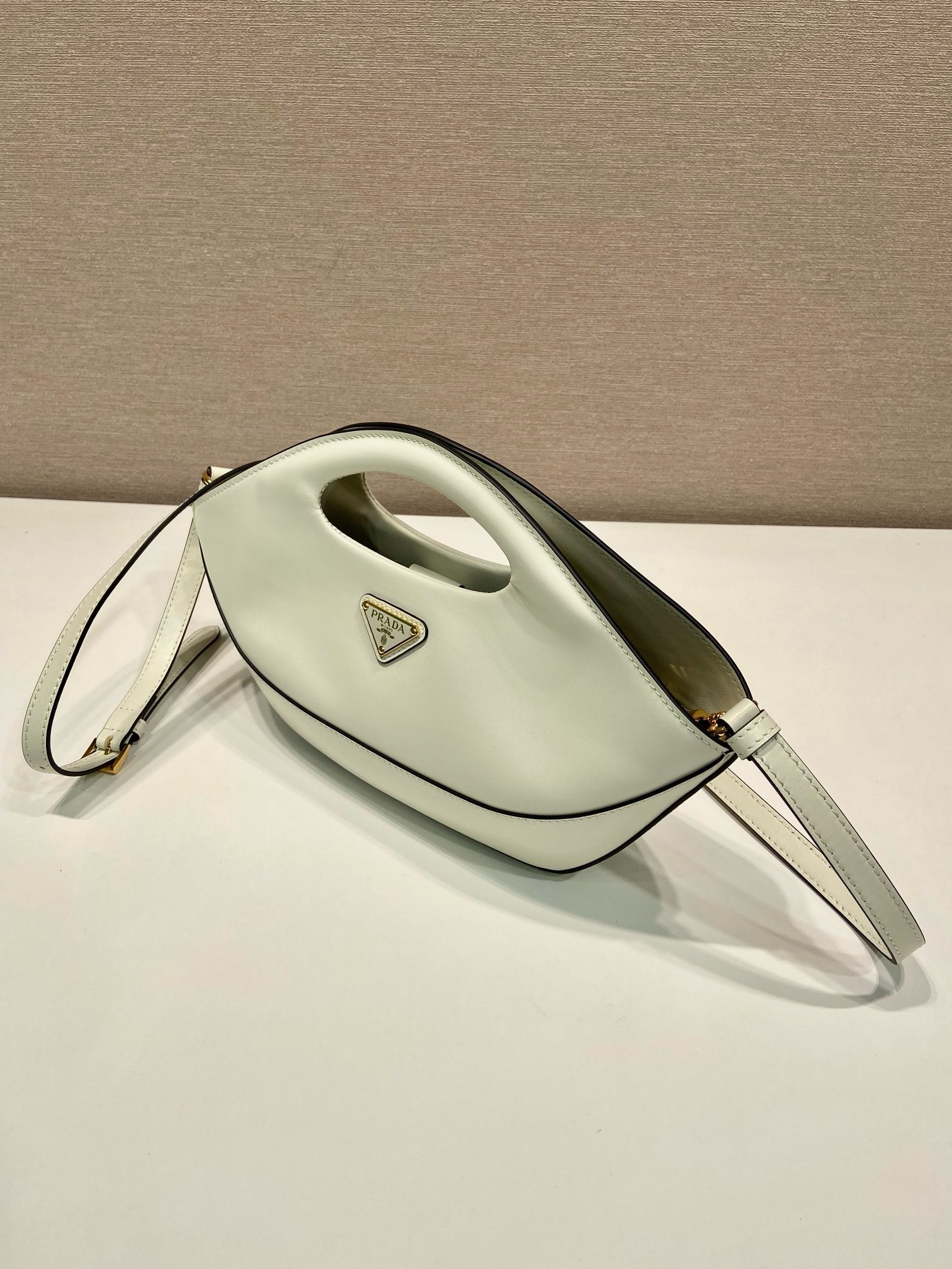 Prada Dumpling Bag 1BA421