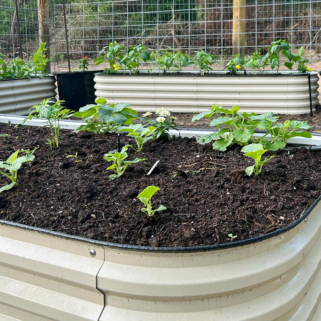 🌷2025D Spring Clearance Sale 🔥A8x2 Metal Raised Garden Beds (9 in 1)【Upgrade 2.0】