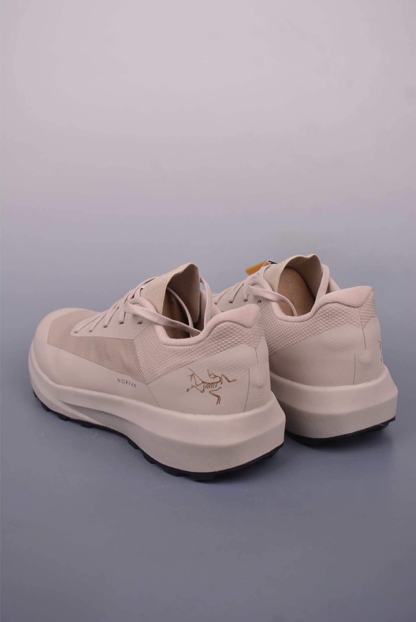 Arc'teryx Norvan LD 4 Desert L08096800
