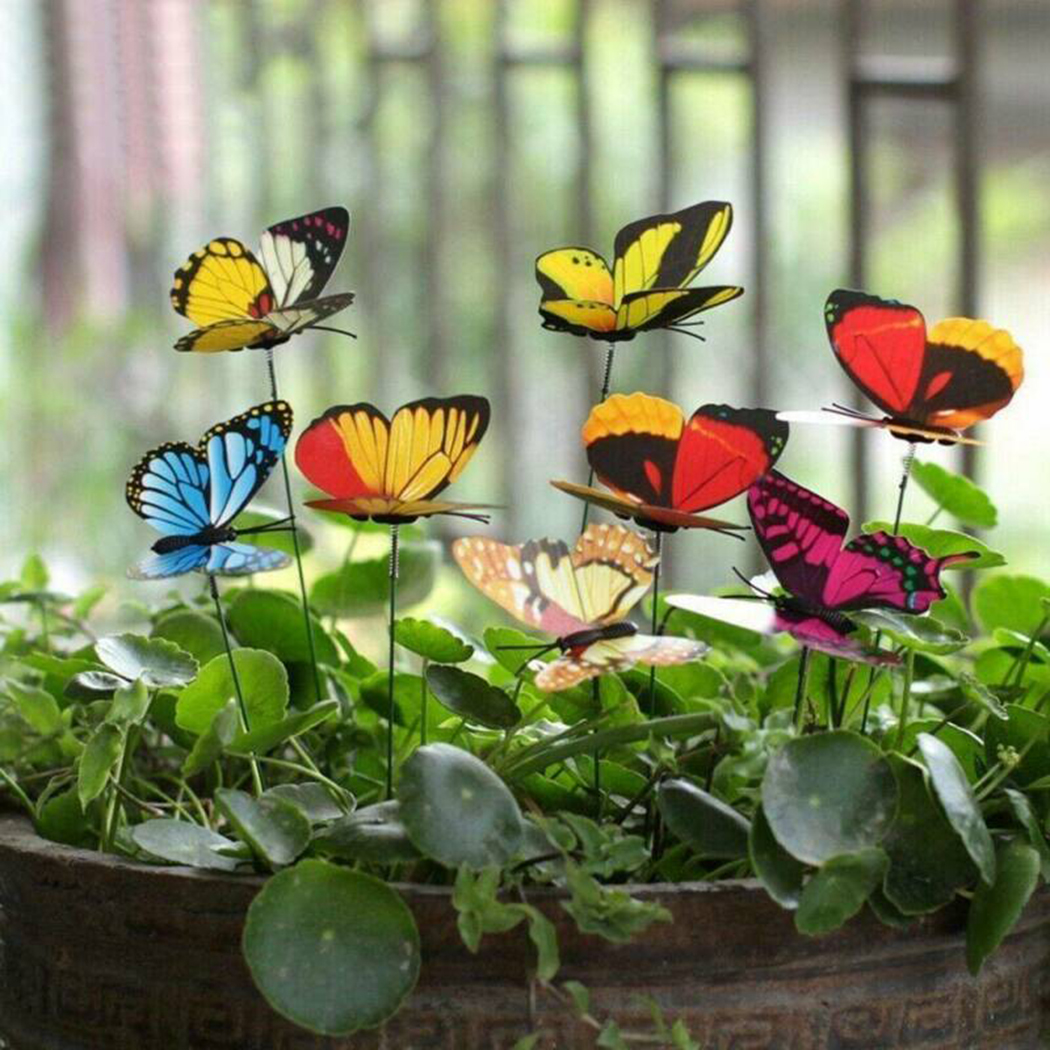 New in 2023-Butterfly Stakes